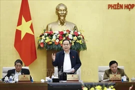 Le président de l'Assemblée nationale Tran Thanh Man s'exprime à la réunion. Photo: VNA