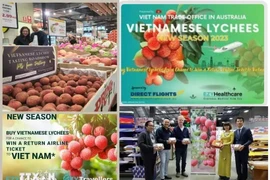 Certaines activités sont réalisées par le Bureau commercial du Vietnam en Australie. Photo: VNA