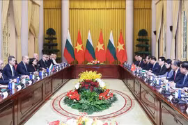 Entretien entre le président Luong Cuong et son homologue bulgare Rumen Radev, le 25 novembre à Hanoï. Photo: VNA