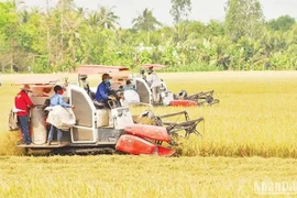 Photo: nhandan.vn