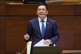 Le ministre de l'Industrie et du Commerce Nguyen Hong Dien. Photo : VNA