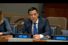 L'ambassadeur Dang Hoang Giang, représentant permanent du Vietnam auprès des Nations Unies (ONU), s'exprime lors d'un débat général de la Commission du désarmement et de la sécurité internationale de l'Assemblée générale des Nations Unies. Photo: VNA