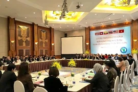 Le Groupe de travail sur l’Initiative du bas-Mékong réuni à Hanoi 