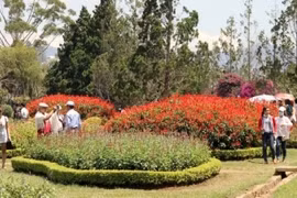 Reconnaissance de 25 sites touristiques agricoles high-tech à Dà Lat
