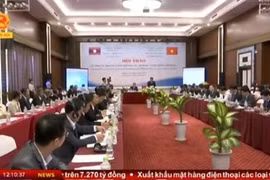 Vietnam-Laos : séminaire sur la consultation au service du gouvernement et du Premier ministre