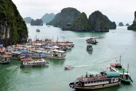 Quang Ninh accueille près de 7,4 millions de visiteurs en novembre 