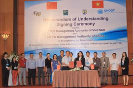 Vietnam-Chine : coopération dans la protection des animaux sauvages 