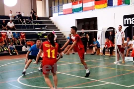 Vietnam : champion du monde de plumfoot