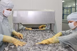 Reprise des exportations de crevettes vers la Chine