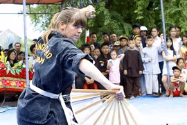 Les arts martiaux traditionnels, joyau de la culture vietnamienne
