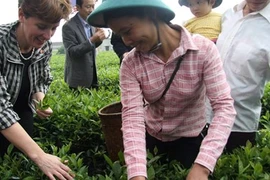 Assistance canadienne de plus de 18 millions de dollars pour les agriculteurs vietnamiens