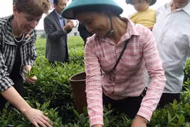 Assistance canadienne de plus de 18 millions de dollars pour les agriculteurs vietnamiens