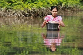 Innondations : L’ASEAN s’efforce d’aider les sinistrés au Myanmar