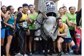 Hanoi : "Course pour les rhinocéros"