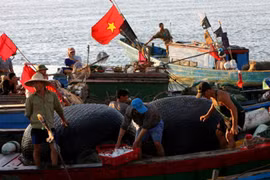 7e cycle de négociations sur la délimitation de la ZEE Vietnam-Indonésie