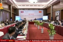 Vietnam-Laos : séminaire sur la consultation au service du gouvernement et du Premier ministre