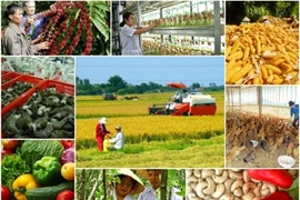 Renforcer l’intégration internationale pour le secteur agricole