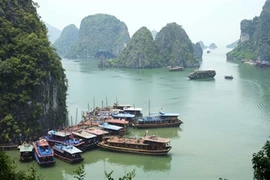Opération de séduction du Vietnam auprès des touristes russes