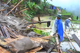 Le Vietnam classé au 7e rang en termes de dégâts dus au changement climatique
