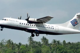 Indonésie : l'épave de l'avion disparu retrouvée dans les montagnes de Papouasie