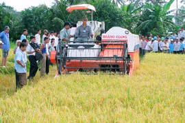 Lam Dong : 175 milliards de dôngs pour l’édification de la Nouvelle ruralité 
