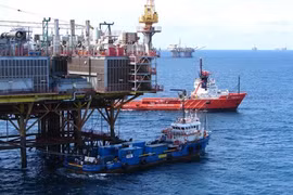 L'investissement vietnamien à l’étranger souligne les minerais et l’agriculture