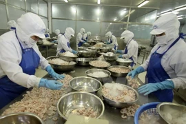 Record des exportations vietnamiennes vers le Mexique