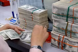 Le Vietnam et la banque IIB resserrent leur coopération