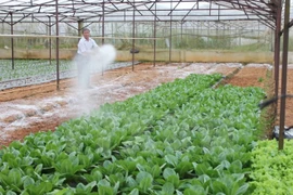 La JICA soutient le Vietnam dans l'établissement de la chaine de valeur agricole