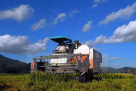 Le Japon recherche des opportunités d'investissement dans le delta du Mékong
