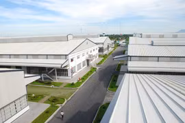 Un groupe sud-coréen investit dans un projet d'agriculture de haute technologie à Tay Ninh 
