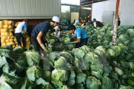 Les produits agricoles vietnamiens séduisent les entreprises chinoises