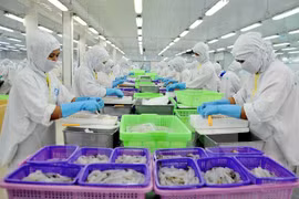 La coopération publique-privée pour le développement durable de l’aquiculture