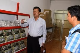 Six grands groupes japonais s’intéressent au secteur agricole vietnamien