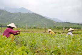 ASEM : le Vietnam promeut les Objectifs de Développement durable