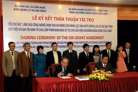 Trois millions de dollars pour améliorer les technologies rizicoles