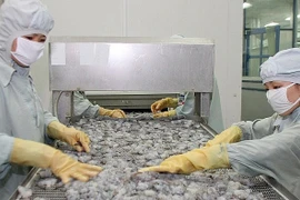 Reprise des exportations de crevettes vers la Chine