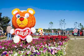 Bientôt le festival floral de Dà Lat 2015