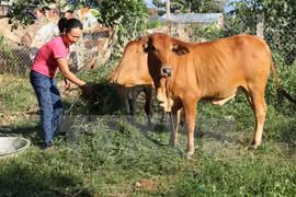 Promulgation de l'indice de pauvreté multicritère pour la période 2016-2020
