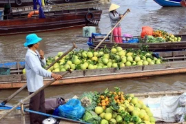 Commerce : le delta du Mékong vise le marché russe