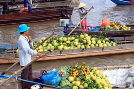 Commerce : le delta du Mékong vise le marché russe