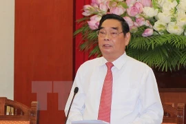 2015, une année de succès pour la diplomatie populaire du Vietnam