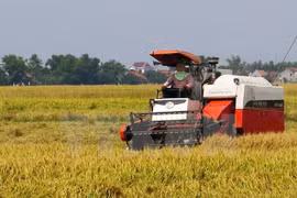 Développement de la chaîne de valeur agricole de la sub-région du Mékong 
