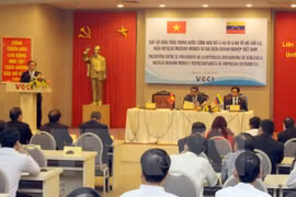 Promotion de la coopération multiforme Vietnam-Venezuela