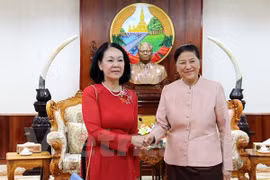Vietnam-Laos: renforcement des relations entre les deux assemblées nationales 