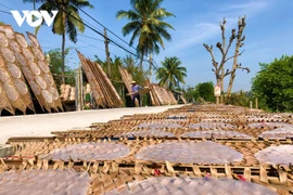 Le métier de confection des galettes de riz de Thuân Hung fleure bon la tradition