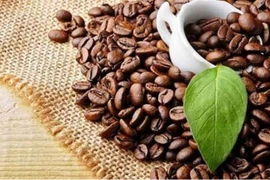 Les exportations de café ont dépassé deux milliards de dollars en cinq mois