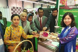 Le fruit du dragon vietnamien a la cote à la foire My Karachi-Oasis of Harmony 2023