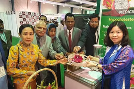 Le fruit du dragon vietnamien a la cote à la foire My Karachi-Oasis of Harmony 2023