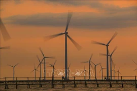 EVN mobilise 9,5 milliards de kWh d’énergies renouvelables en quatre mois